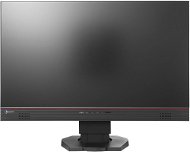 23,8" EIZO FORIS FS2434-BK - LCD monitor