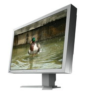 24" EIZO S2402WH-GY EcoView - LCD Monitor