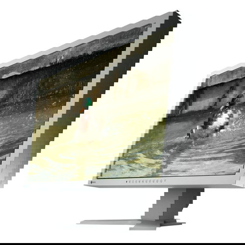 24" EIZO S2402WH-GY EcoView - LCD Monitor - Main image