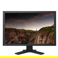LCD EIZO S2402WH-BK EcoView - LCD Monitor