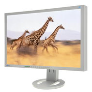 24" EIZO S2433WFS-GY - LCD Monitor
