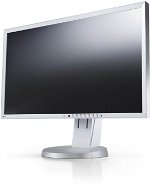 24" EIZO FlexScan EV2416WFS3-GY - LCD Monitor