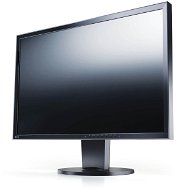 24 &quot;EIZO EcoView EV2436WFS3-BK - LCD monitor