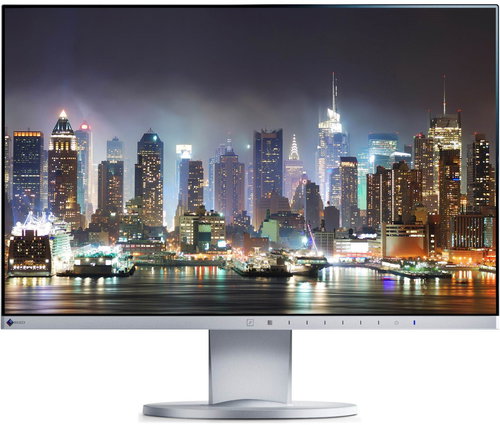 24" EIZO FlexScan EV2450-GY - LCD Monitor - Main image