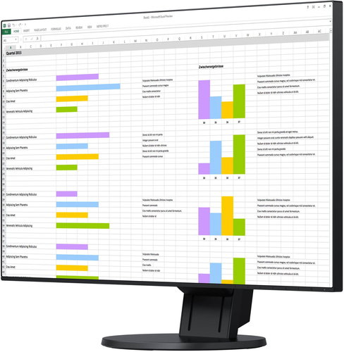 24" EIZO FlexScan EV2451-BK - LCD monitor - Hlavní obrázek