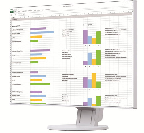 24" EIZO FlexScan EV2451-WT - LCD Monitor - Main image