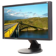 24" EIZO S2433WE-BK EcoView - LCD monitor
