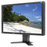 24" LCD EIZO S2433WH-BK EcoView - LCD Monitor