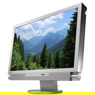 24" LCD EIZO FX2431-SR - LCD Monitor