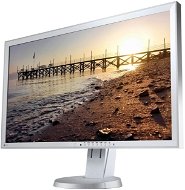 27" EIZO EV2736WFS-GY EcoView - LCD monitor