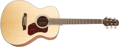 Walden WAG550E - Acoustic-Electric Guitar - Main image
