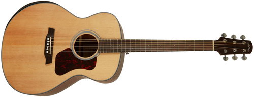 WALDEN WAG550RE - Acoustic-Electric Guitar - Main image