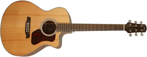 WALDEN WAG570CE - Acoustic-Electric Guitar - Main image