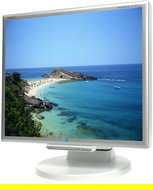 17" NEC MS 175M silver - LCD Monitor