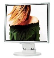 19" NEC 195VXM+ stříbrno-šedý - LCD Monitor