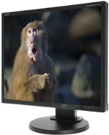 19" NEC MultiSync LED EA192M black - LCD Monitor