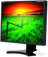 19" NEC MultiSync 1990SX black - LCD Monitor