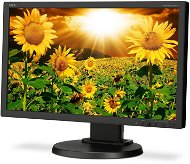 20" NEC MultiSync LED E201W schwarz - LCD Monitor