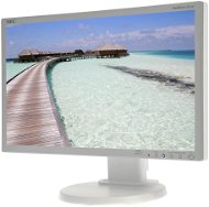 20" NEC MultiSync LED E201W strieborno-biely - LCD monitor
