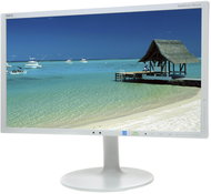 20" NEC MultiSync LED EX201W - LCD Monitor