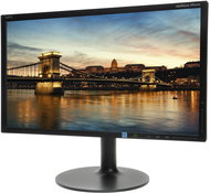 20" NEC MultiSync LED EX201W black - LCD Monitor