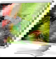 20" NEC MultiSync 2090UXi silver-white - LCD Monitor