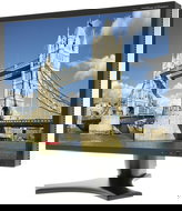 20" NEC MultiSync 2090UXi black - LCD Monitor