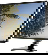 21" NEC MultiSync 2190UXp black - LCD Monitor