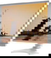 21" NEC MultiSync 2190UXp silver - LCD Monitor