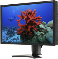 22 "NEC MultiSync P221W Black - LCD Monitor