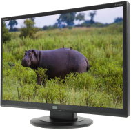 22" NEC AccuSync AS221WM - LCD Monitor