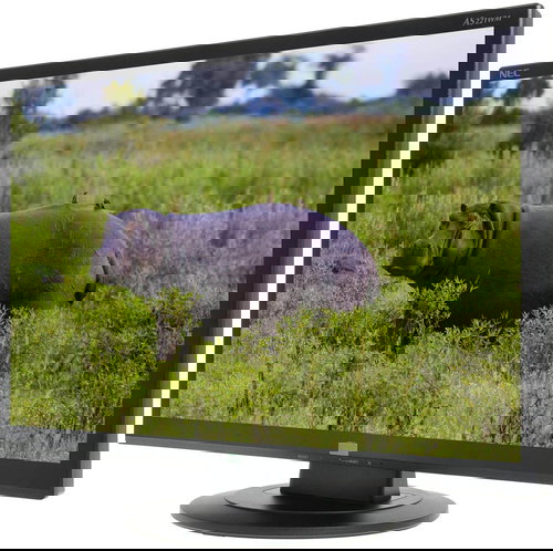 22" NEC AccuSync AS221WM - LCD Monitor - Main image