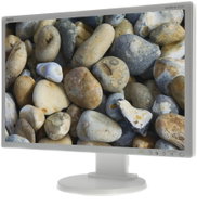 22" NEC MultiSync LCD E222W silver - LCD Monitor
