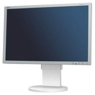 22" NEC MultiSync LCD EA221WMe silver - LCD Monitor