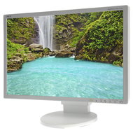 22" NEC MultiSync LCD EA222WMe silver-white - LCD Monitor