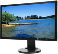 23" NEC MultiSync LED E231W black - LCD Monitor
