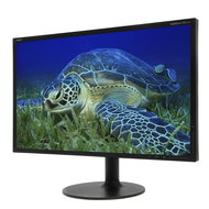 23" NEC MultiSync LED EX231W black - LCD Monitor