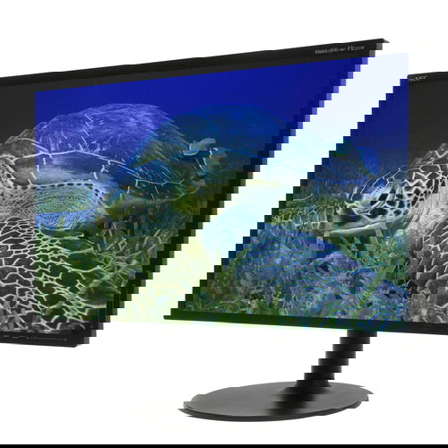 23" NEC MultiSync LED EX231W black - LCD Monitor - Main image