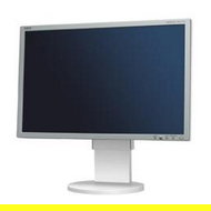23" NEC MultiSync LCD EA231WMi white - LCD Monitor