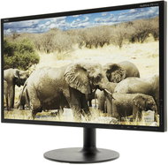 23" NEC MultiSync LED EX231Wp black - LCD Monitor