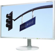 23" NEC MultiSync LED EX231Wp white - silver - LCD Monitor