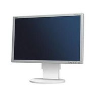 23" NEC MultiSync LCD EA241WM silver-white - LCD Monitor