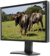 24" NEC MultiSync PA241W black - LCD Monitor