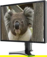24" NEC MultiSync P241W black - LCD Monitor