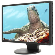 26" NEC MultiSync EA261WM black - LCD Monitor