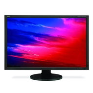30" NEC SpectraView 3090WQXi black - LCD Monitor