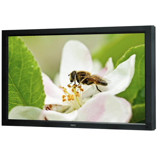 42" NEC MultiSync V421 black - LCD Monitor - Main image