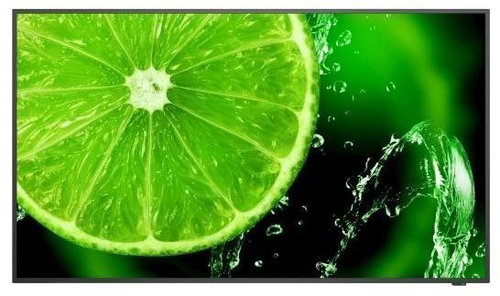 49" NEC MultiSync E498 - Large-Format Display - Main image