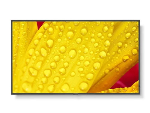 43" NEC MultiSync ME431 - Großformat-Display - Hauptbild