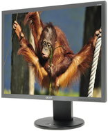 19" Acer B193DOymdh - LCD Monitor